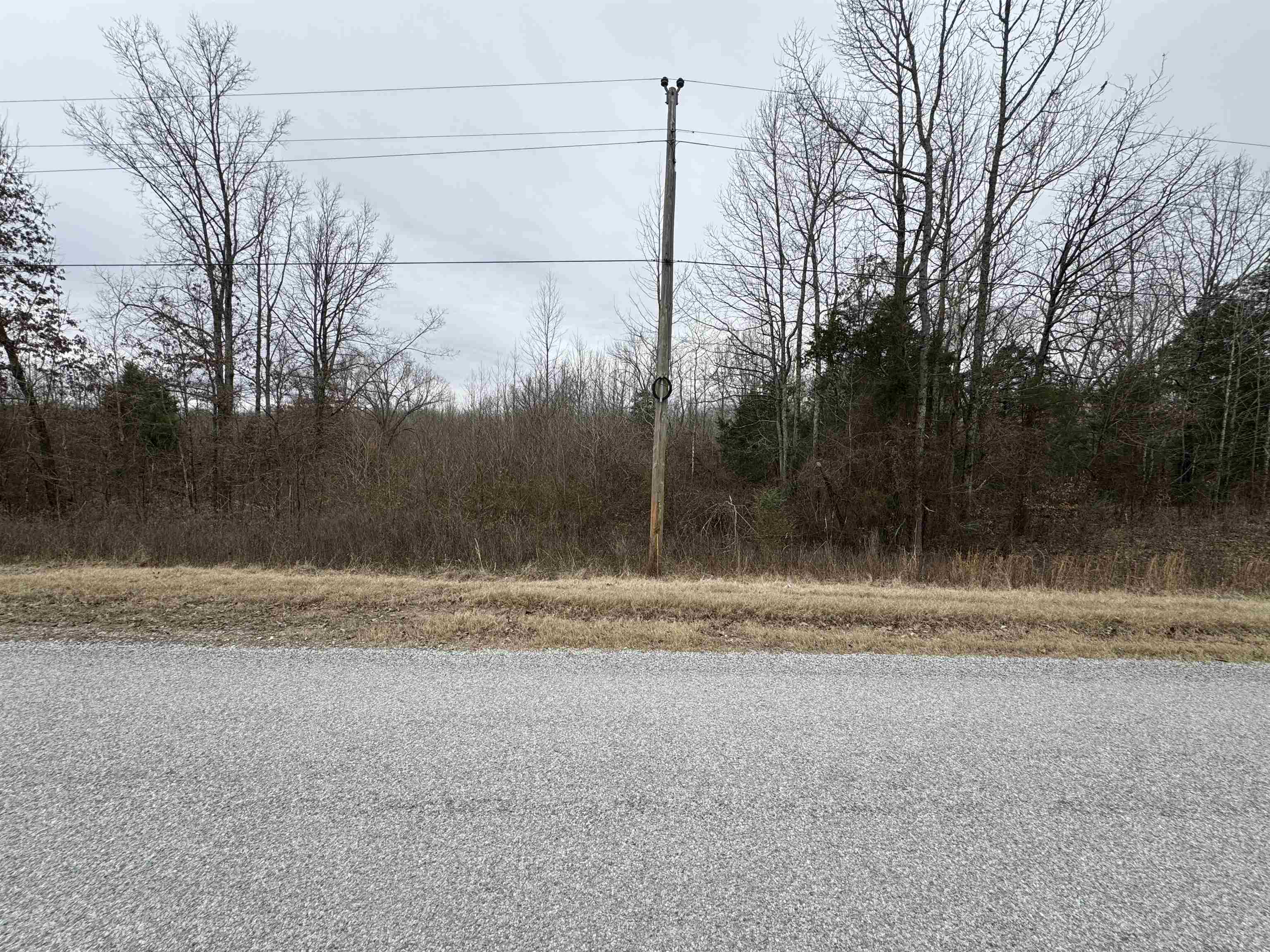 0 County Lake Road Trenton, TN 38382 - Photo 3 of 4