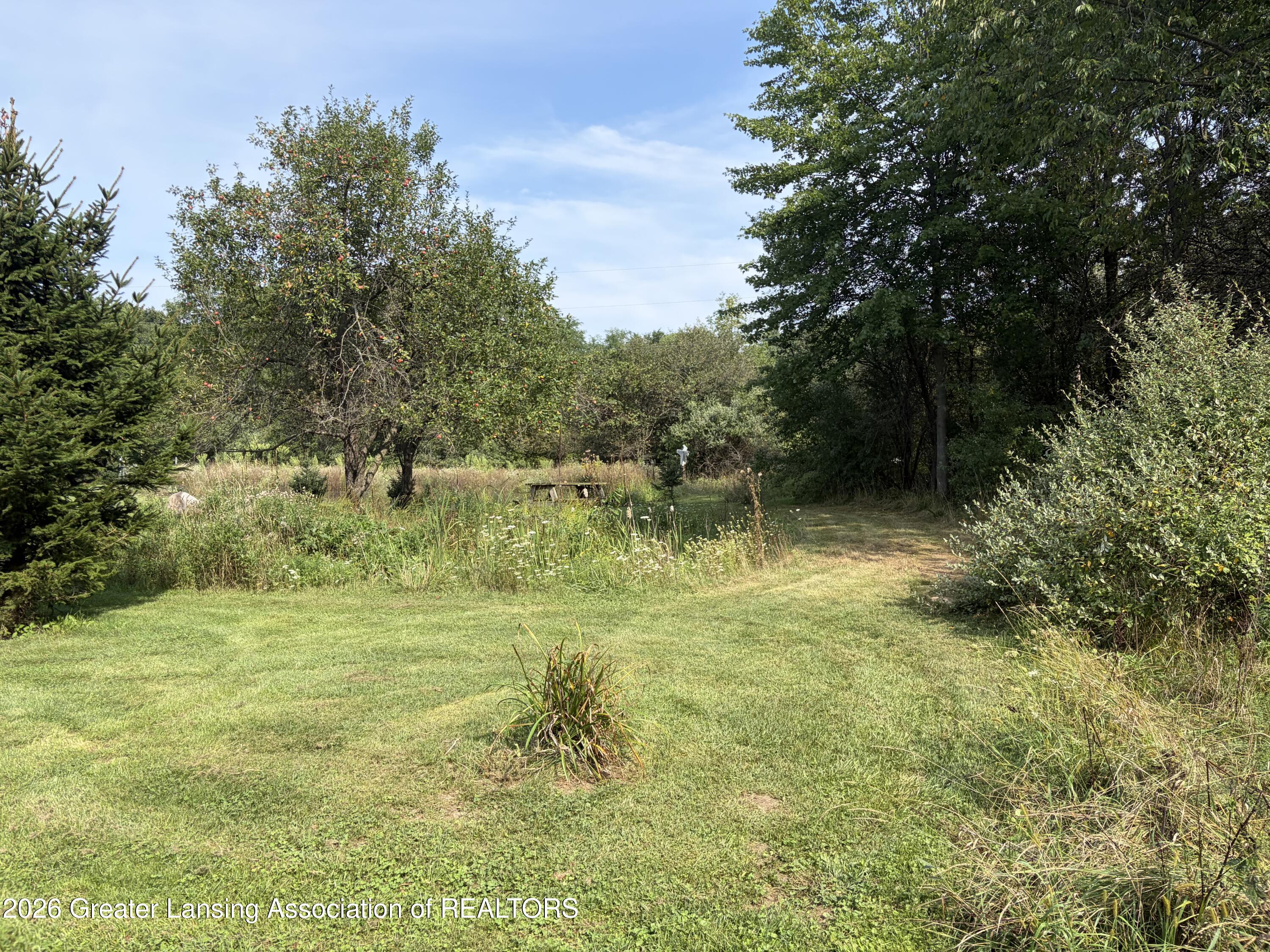 2850 Kelly Road Leslie, MI 49251 - Photo 45 of 52 46