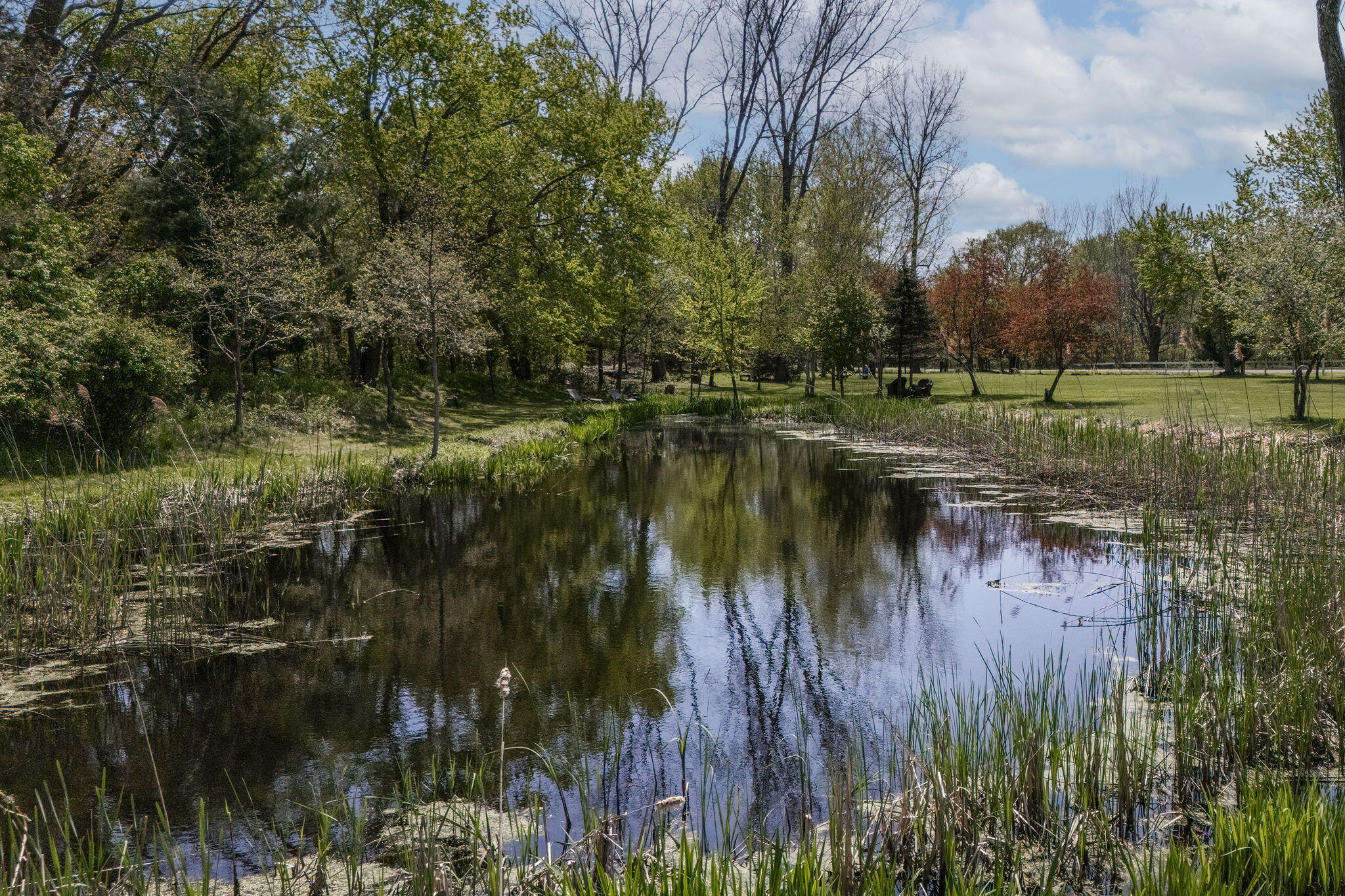 11971 South Hildebrandt Road Sawyer, MI 49125 - Photo 5 of 49 Pond