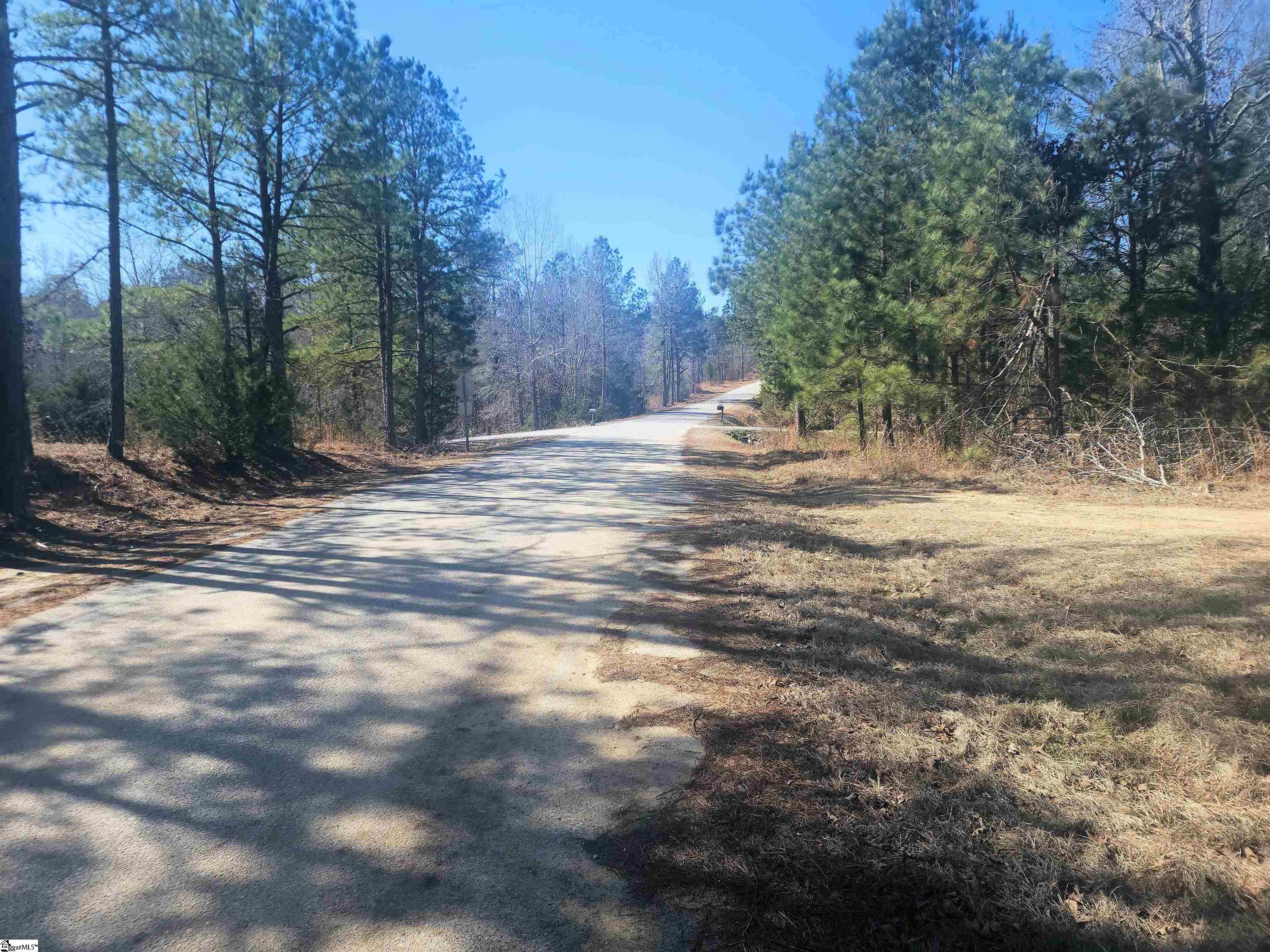 Bob White Drive Waterloo, SC 29384 - Photo 3 of 15
