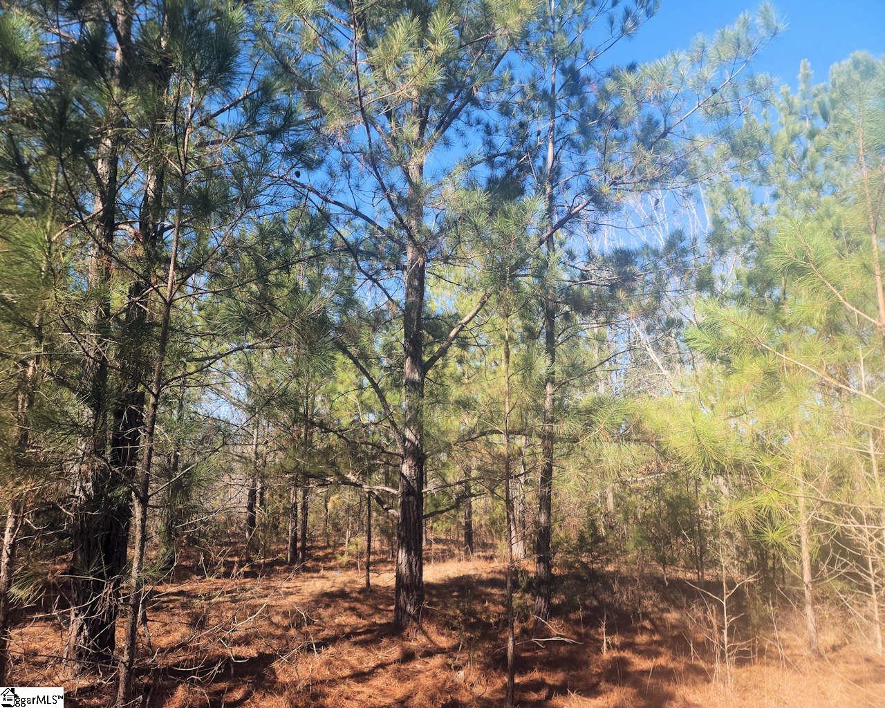 Bob White Drive Waterloo, SC 29384 - Photo 5 of 15