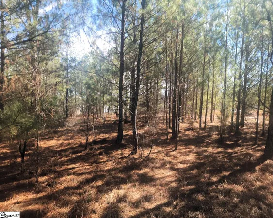 $272,300 | Bob White Drive, Waterloo, SC 29384