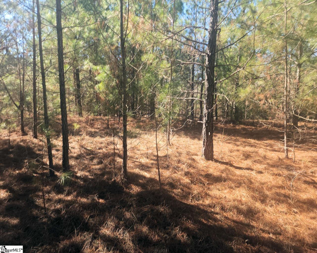 Bob White Drive Waterloo, SC 29384 - Photo 7 of 15