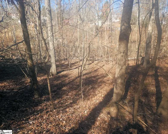 $272,300 | Bob White Drive, Waterloo, SC 29384