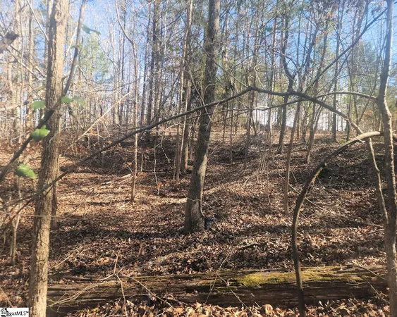 $272,300 | Bob White Drive, Waterloo, SC 29384