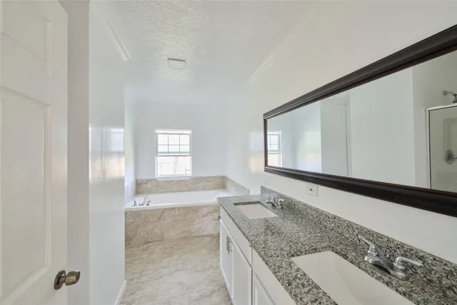 a bathroom with a granite countertop sink and mirror with bathtub
