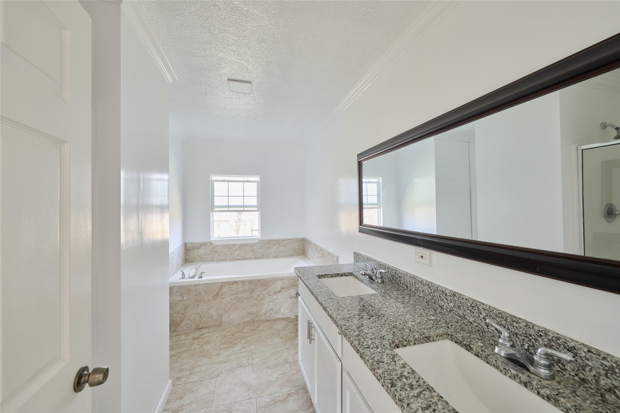 928 Coen Road Rosharon, TX 77583 - Photo 12 of 18 a bathroom with a granite countertop sink and mirror with bathtub