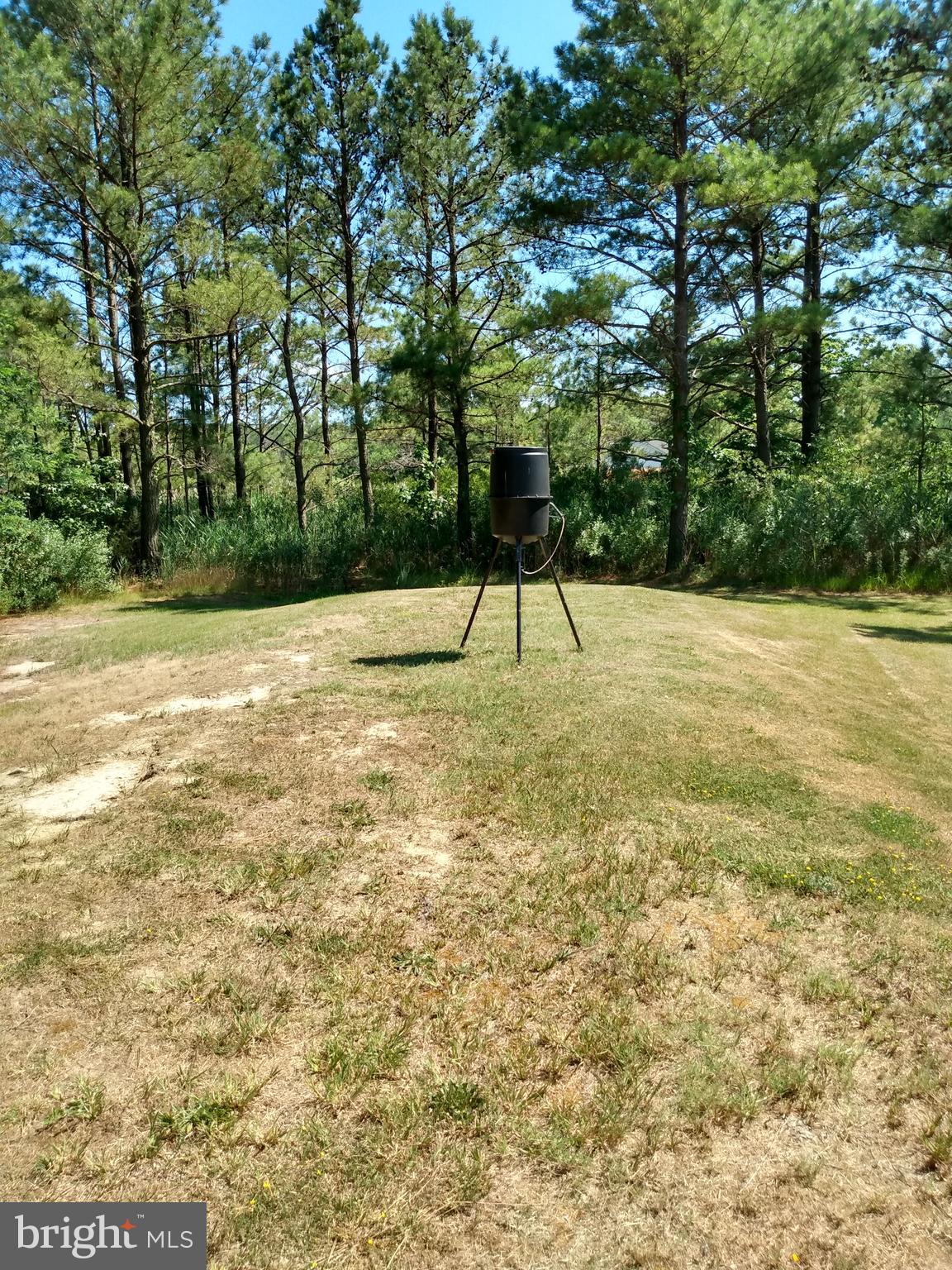 5327 Ragged Point Road Cambridge, MD 21613 - Photo 13 of 108 Gallery Image 13