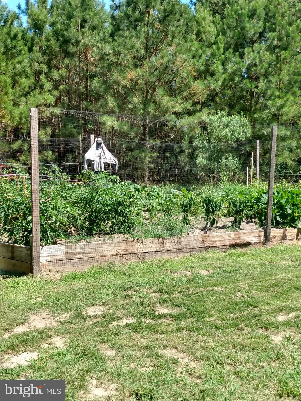 5327 Ragged Point Road Cambridge, MD 21613 - Photo 14 of 108 Gallery Image 14