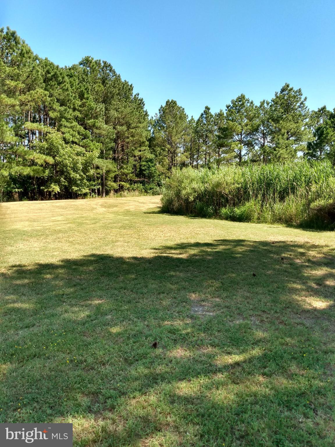 5327 Ragged Point Road Cambridge, MD 21613 - Photo 33 of 108 Gallery Image 33