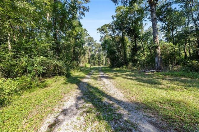 27499 Turkey Creek Road Independence, LA 70443 - Photo 24 of 28