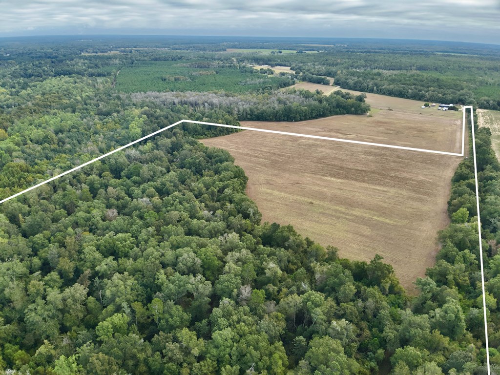 49-acres Mt Zion Road Gordon, AL 36343 - Photo 11 of 21