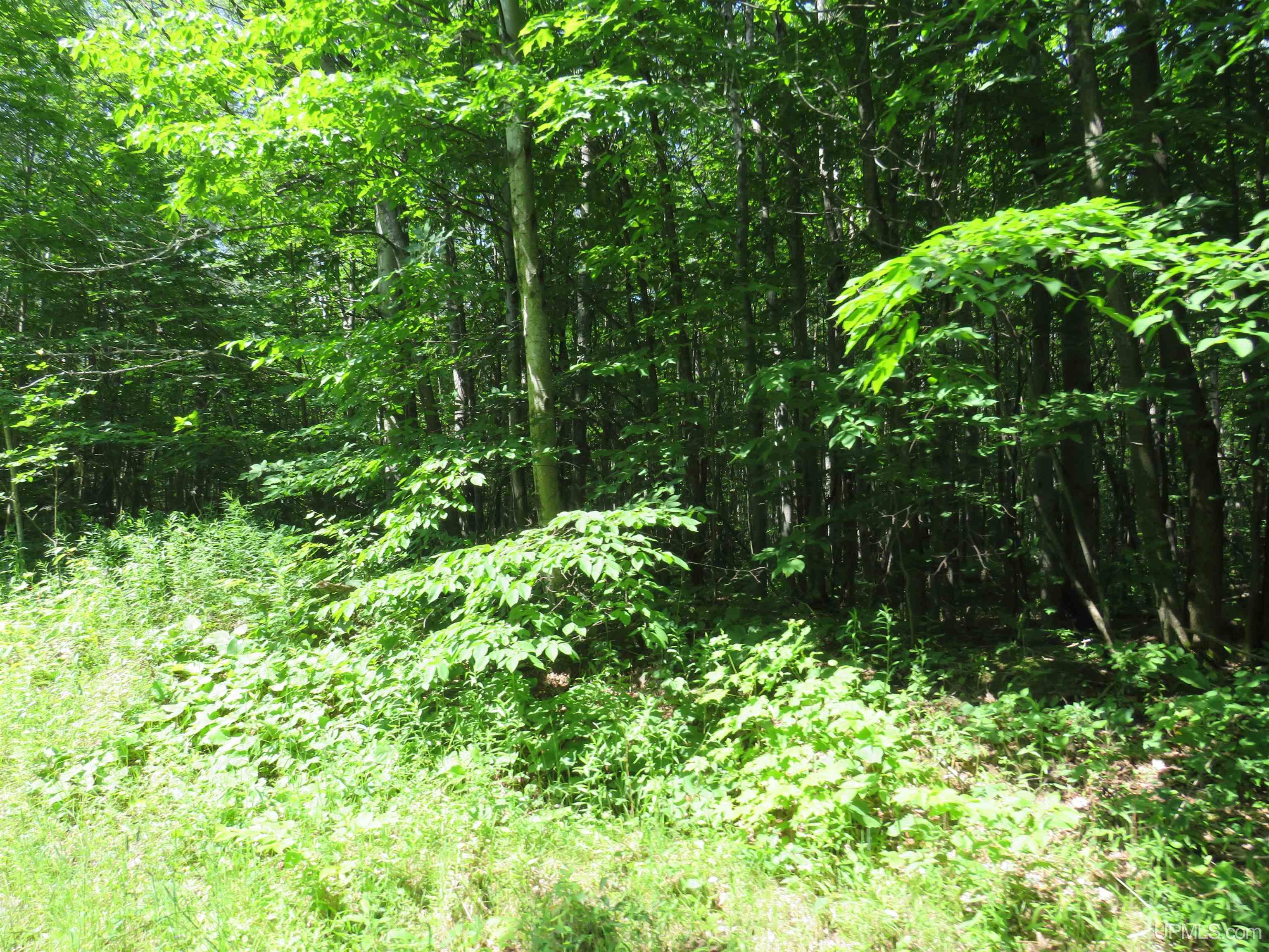 Tbd Curlew Road Ontonagon, MI 49953 - Photo 18 of 36