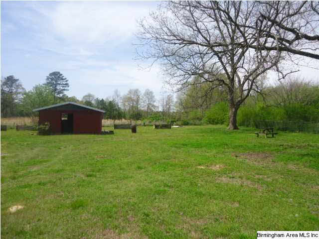 1987 Kornegay Road Oneonta, AL 35121 - Photo 4 of 31