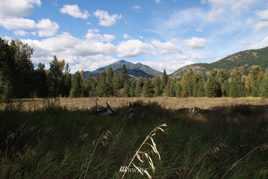 35 Methow Ranch Road Winthrop, WA 98862 - Photo 23 of 25 Gallery Image 23