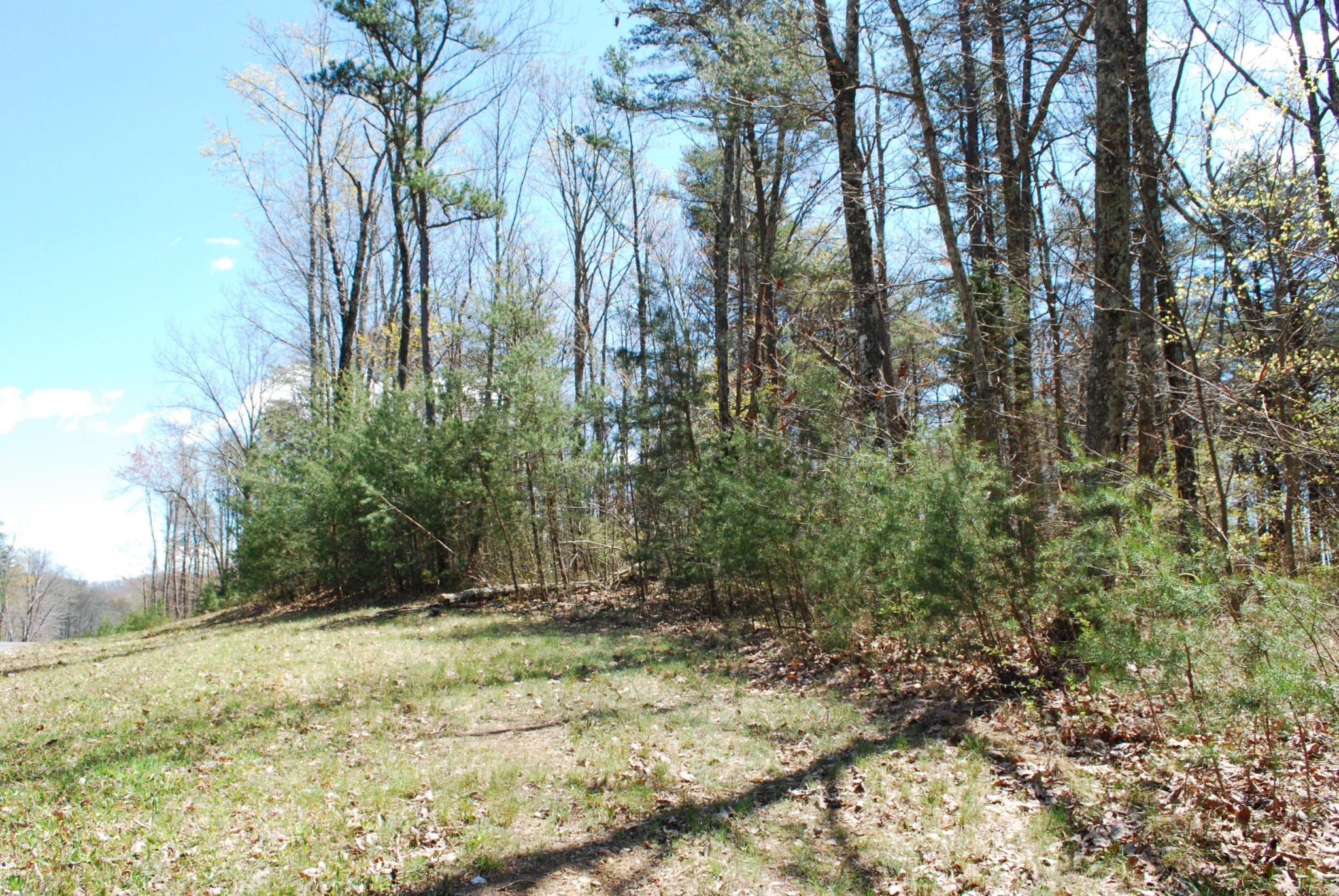 30 Cascades Drive Rising Fawn, GA 30738 - Photo 1 of 10 Gallery Image 1