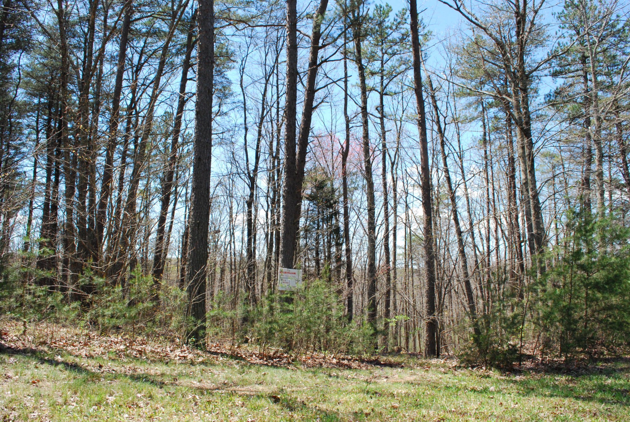 30 Cascades Drive Rising Fawn, GA 30738 - Photo 6 of 10 Gallery Image 6