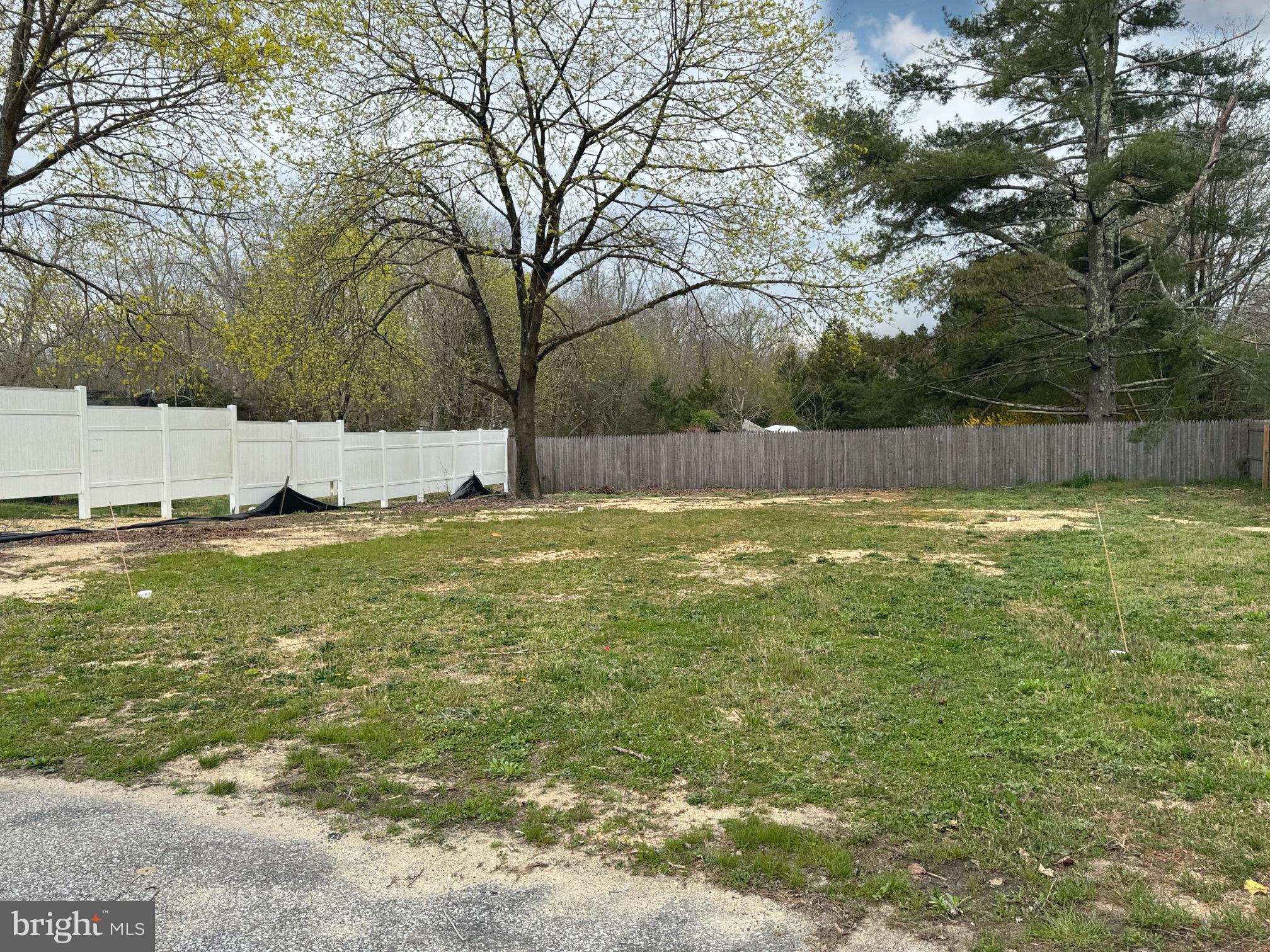 48 Tuckahoe Road Dorothy, NJ 08317 - Photo 54 of 54 Backyard
