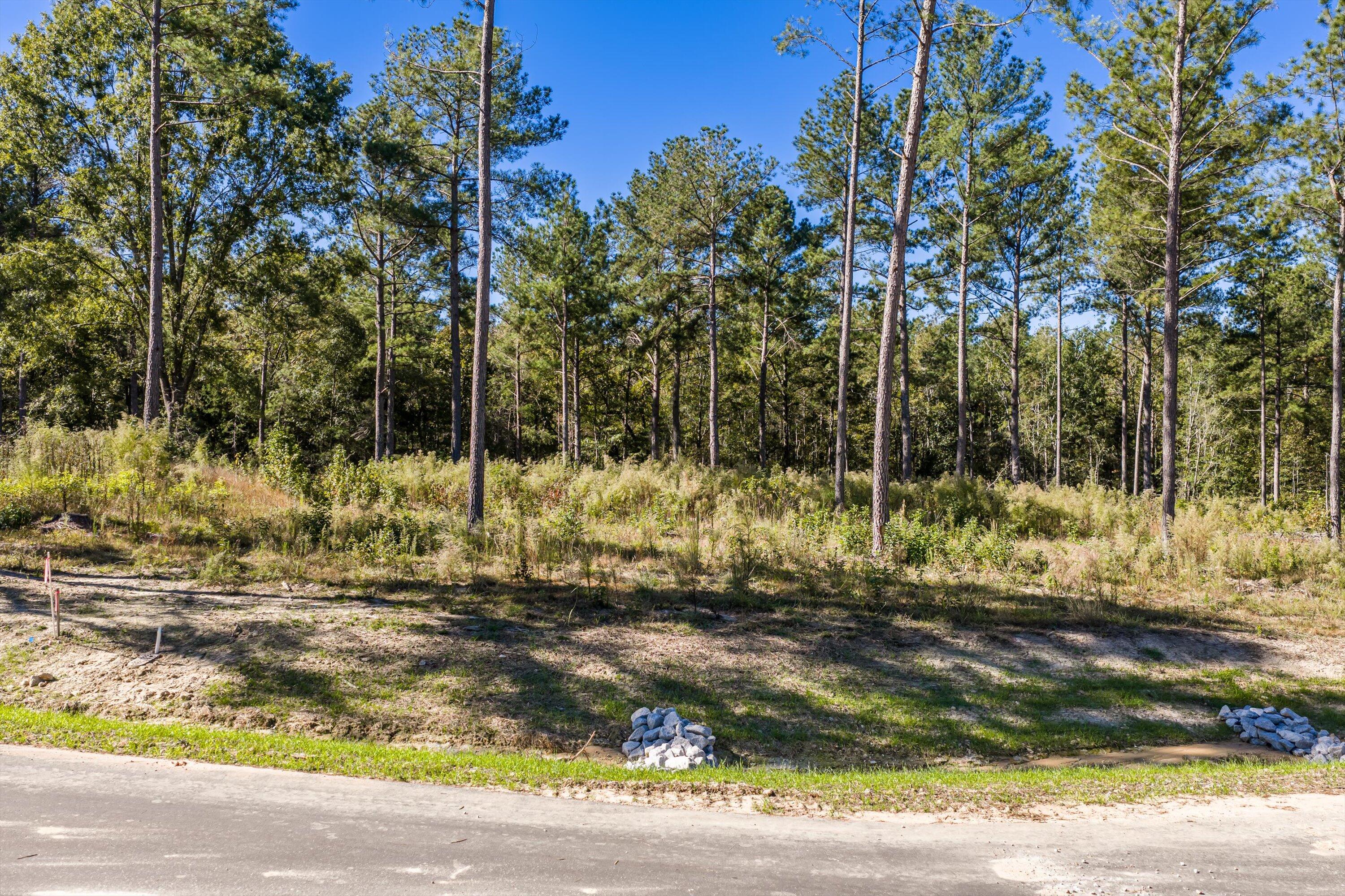 166 Beagle Chase Drive Appling, GA 30802 - Photo 5 of 6 19-Lot11