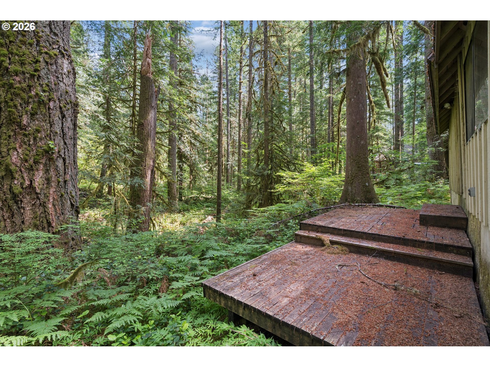 28320 Road 20 Rhododendron, OR 97049 - Photo 32 of 41 Backyard