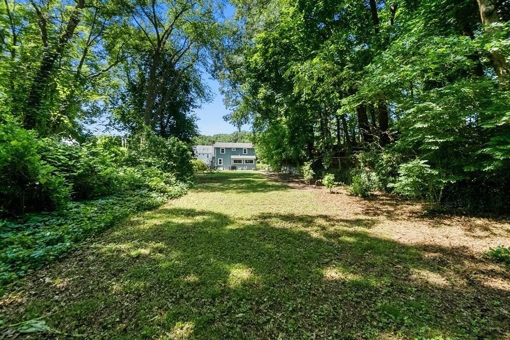 103 Stimson Street Boston, MA 02132 - Photo 22 of 26 a view of a yard with plants and large trees