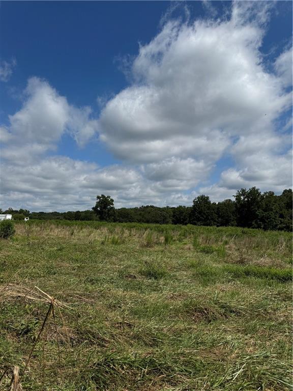 0 Marlow Road Maysville, GA 30558 - Photo 2 of 7 a view of an ocean from a yard