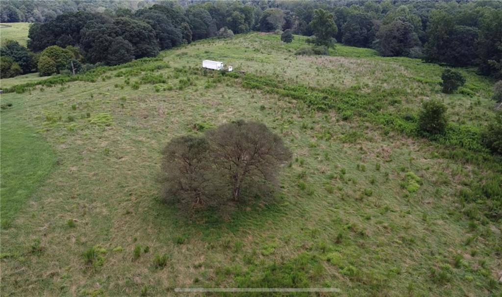 0 Marlow Road Maysville, GA 30558 - Photo 7 of 7 a view of a yard with a tree