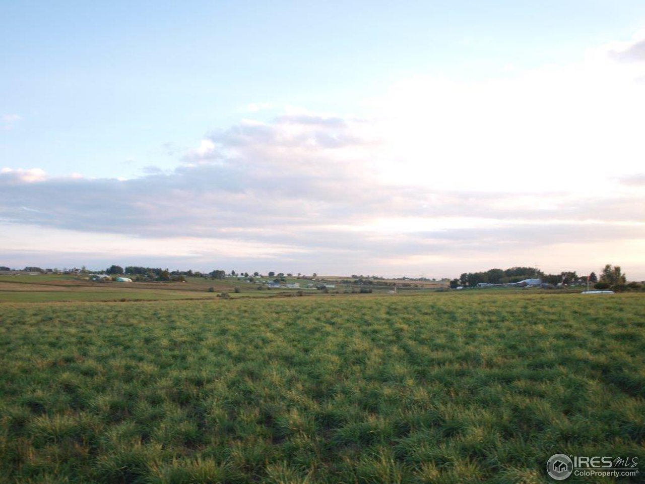 1270 Mill Creek Road Berthoud, CO 80513 - Photo 19 of 25 a view of a field with an ocean and trees