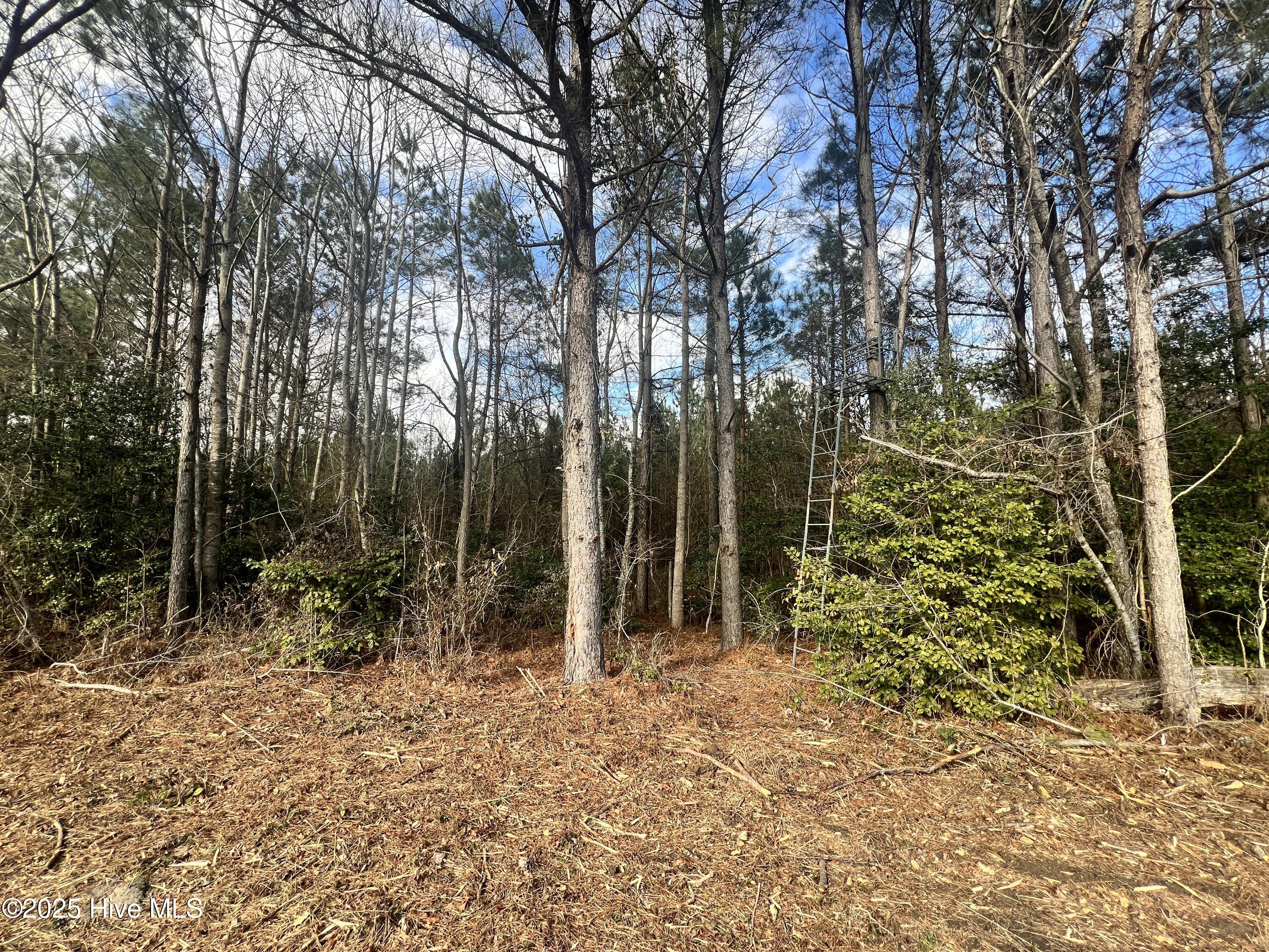 0 Daniels Road Corapeake, NC 27926 - Photo 16 of 46 9