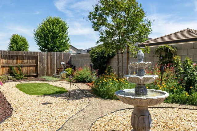 a view of a backyard with plants and tree