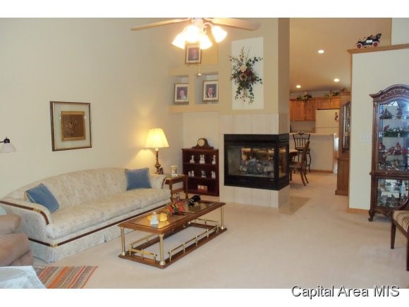 2817 Dryden Drive Springfield, IL 62711 - Photo 3 of 10