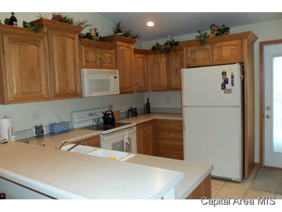 2817 Dryden Drive Springfield, IL 62711 - Photo 7 of 10