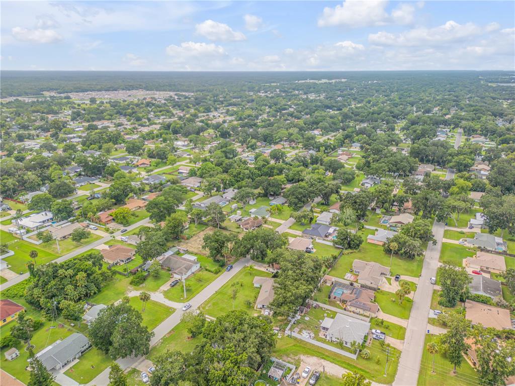2324 Orange Tree Drive Edgewater, FL 32141 - Photo 11 of 11