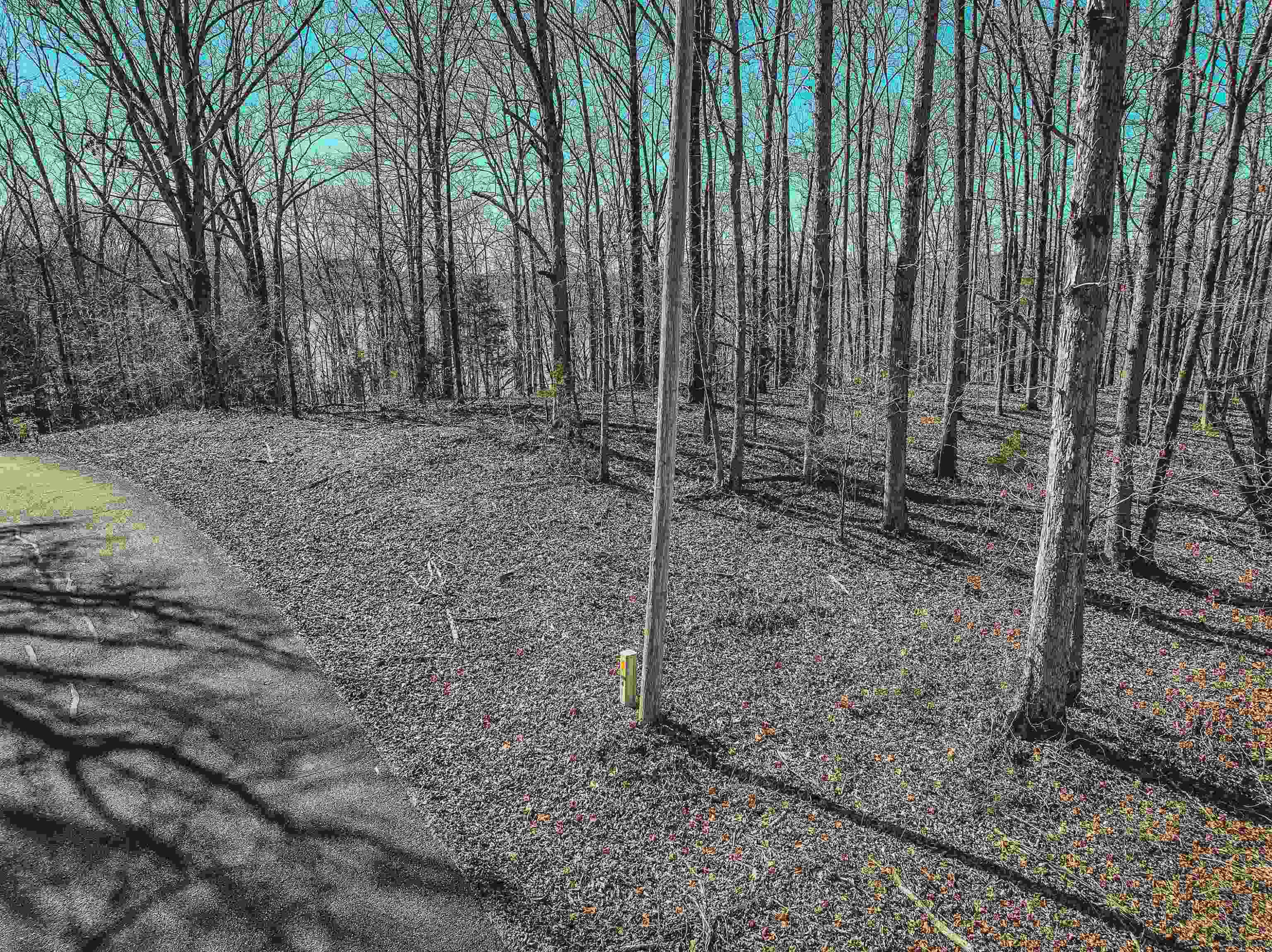 Lot 425 Fawn Ridge Road Parsons, TN 38363 - Photo 14 of 21 a view of a backyard