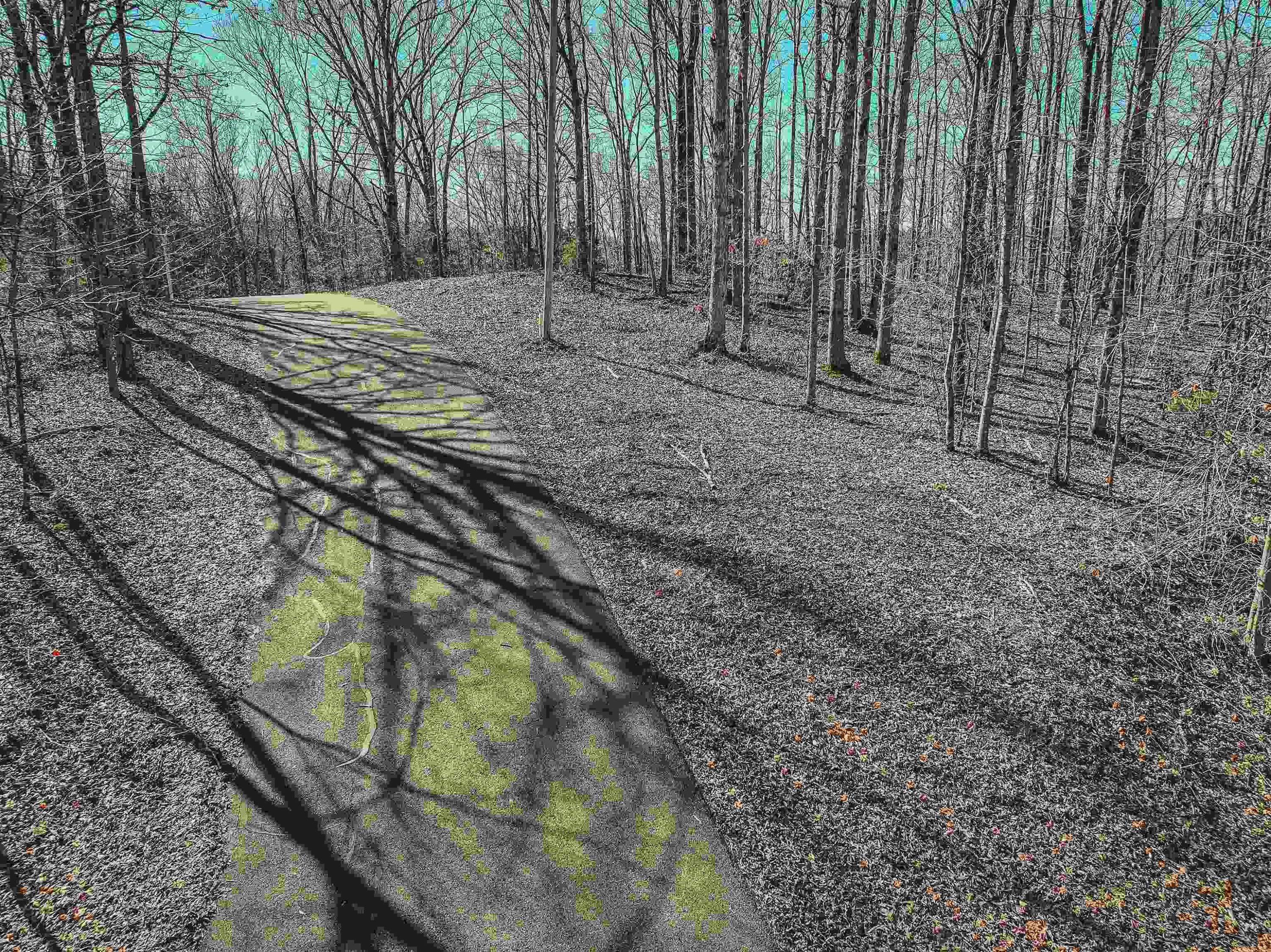 Lot 425 Fawn Ridge Road Parsons, TN 38363 - Photo 3 of 21 a view of a backyard with iron fence