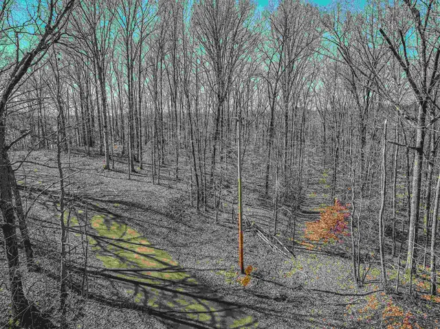 a backyard of a house