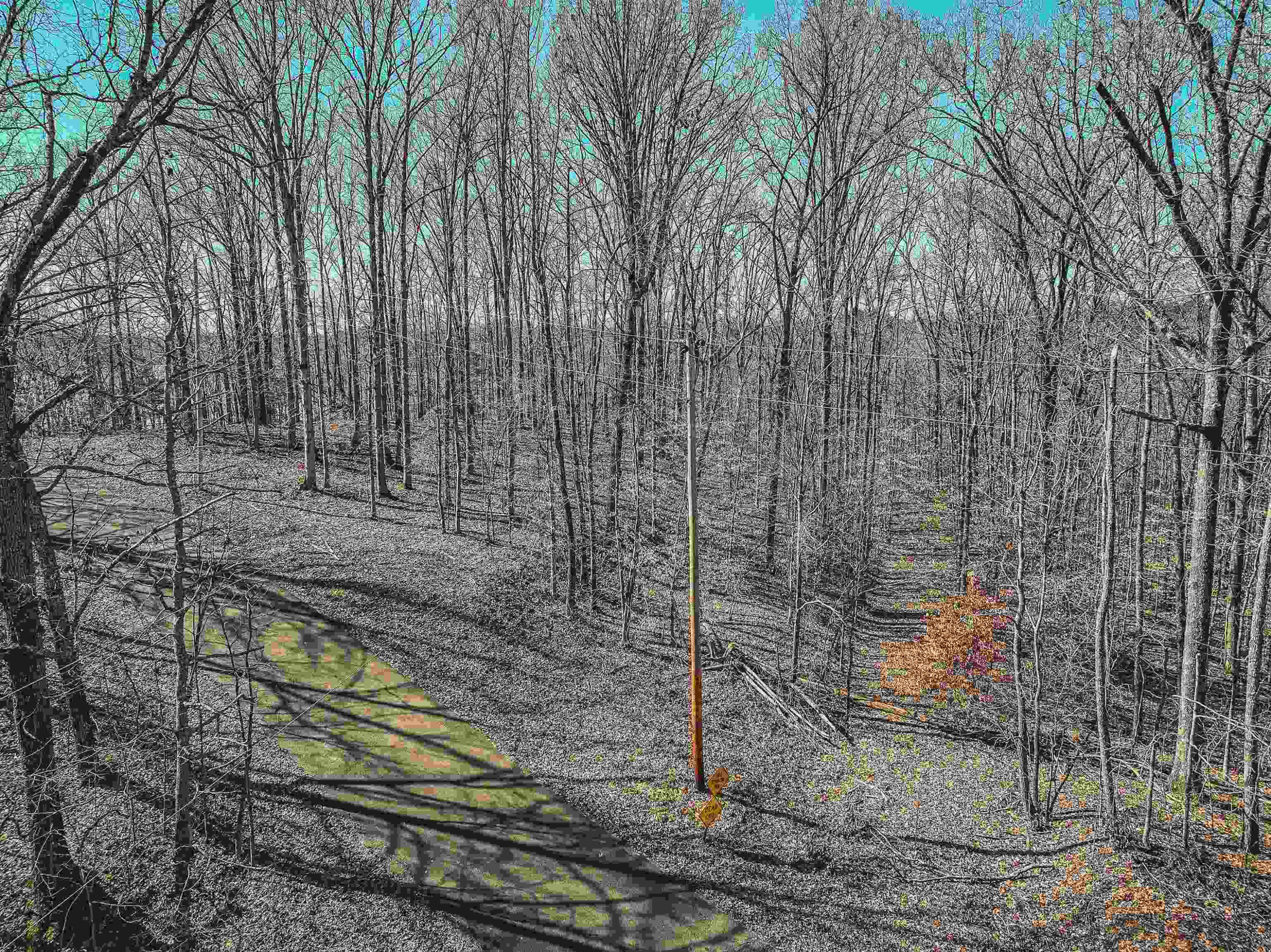 Lot 425 Fawn Ridge Road Parsons, TN 38363 - Photo 8 of 21 a backyard of a house