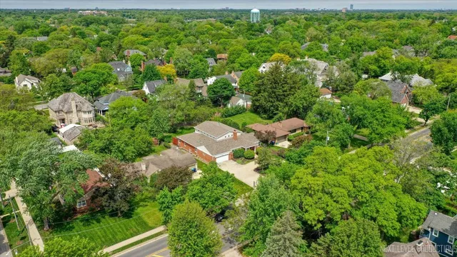 a view of a bunch of trees and bushes