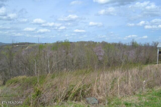 Lot 84 Mallard Road Celina, TN 38551 - Photo 12 of 27 DSC_0153