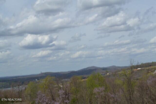 Lot 84 Mallard Road Celina, TN 38551 - Photo 14 of 27 DSC_0157