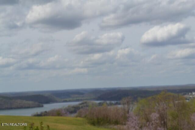 Lot 84 Mallard Road Celina, TN 38551 - Photo 16 of 27 DSC_0148