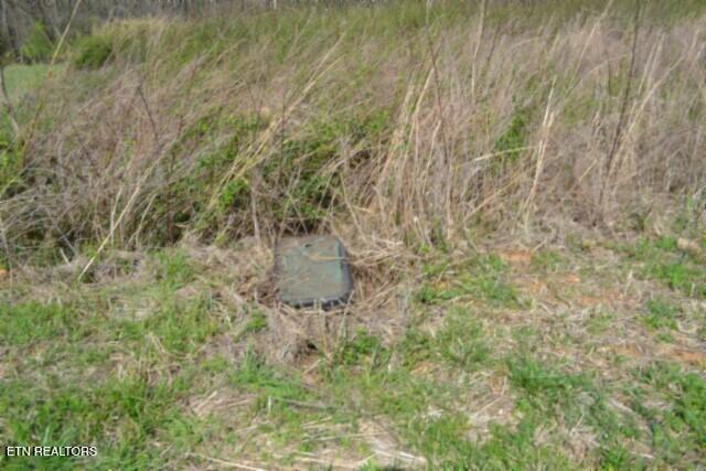 Lot 84 Mallard Road Celina, TN 38551 - Photo 4 of 27 DSC_0139