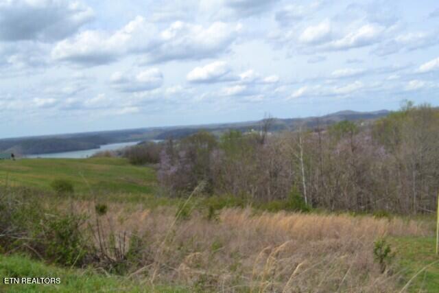 Lot 84 Mallard Road Celina, TN 38551 - Photo 6 of 27 DSC_0143