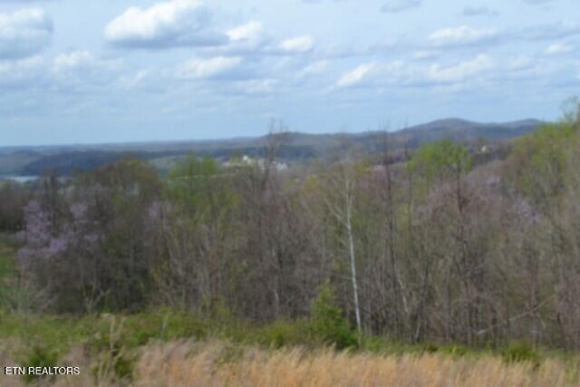 Lot 84 Mallard Road Celina, TN 38551 - Photo 8 of 27 DSC_0145