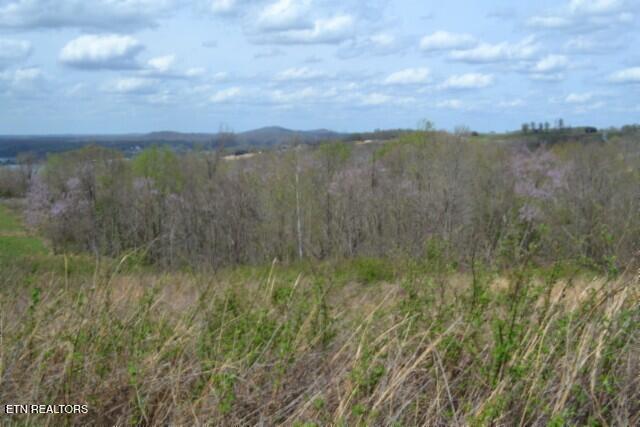 Lot 84 Mallard Road Celina, TN 38551 - Photo 10 of 27 DSC_0149