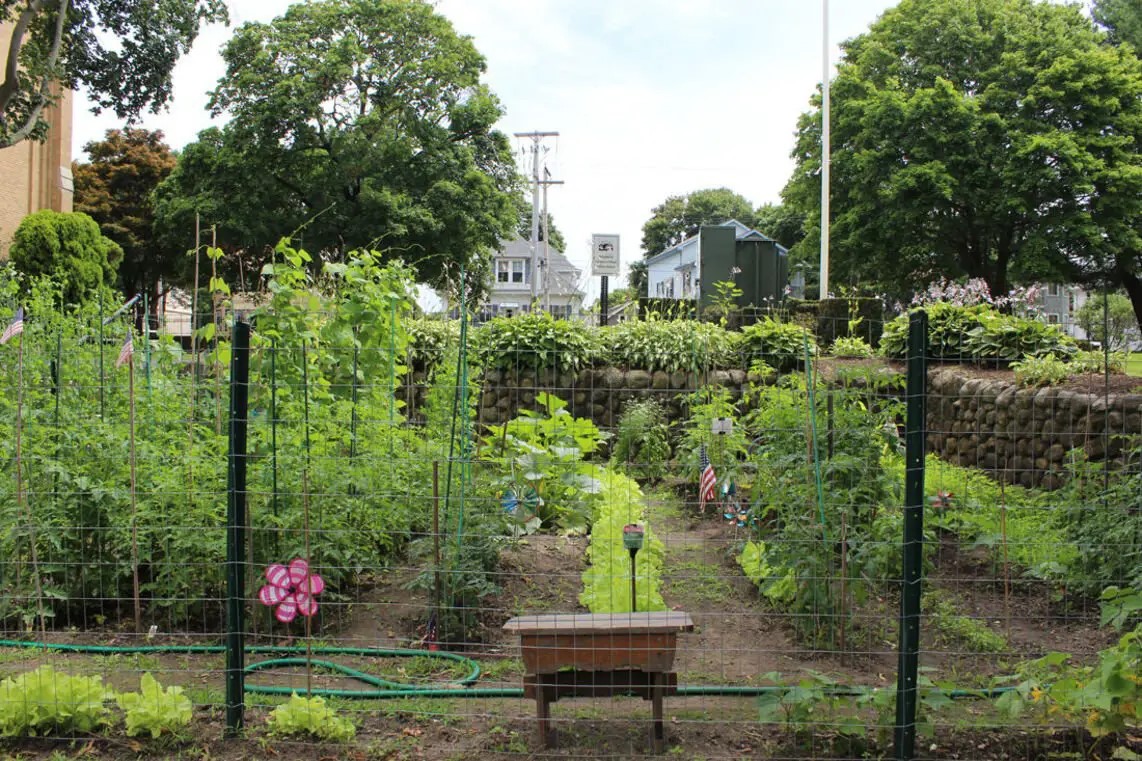 330 Main Street Fairhaven, MA 02719 - Photo 6 of 15 a view of a bench in a garden
