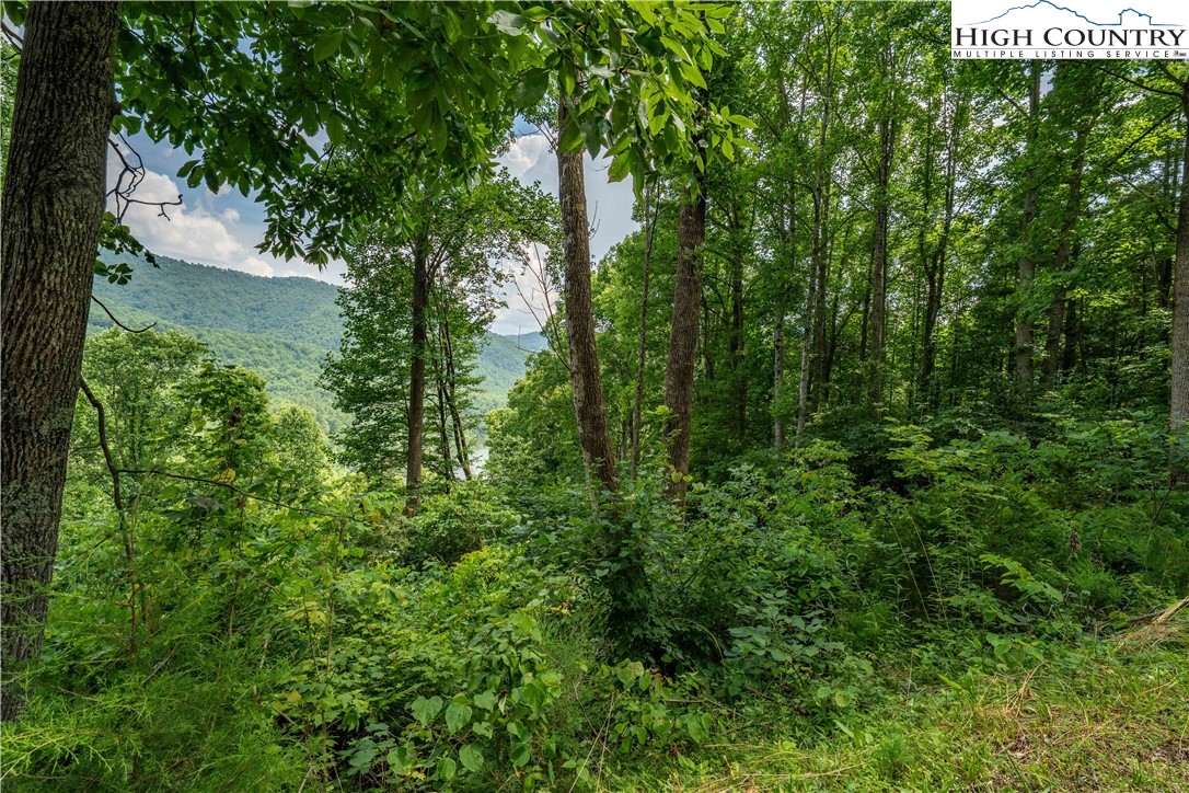 Lot 12 Lake Ridge Butler, TN 37640 - Photo 19 of 22