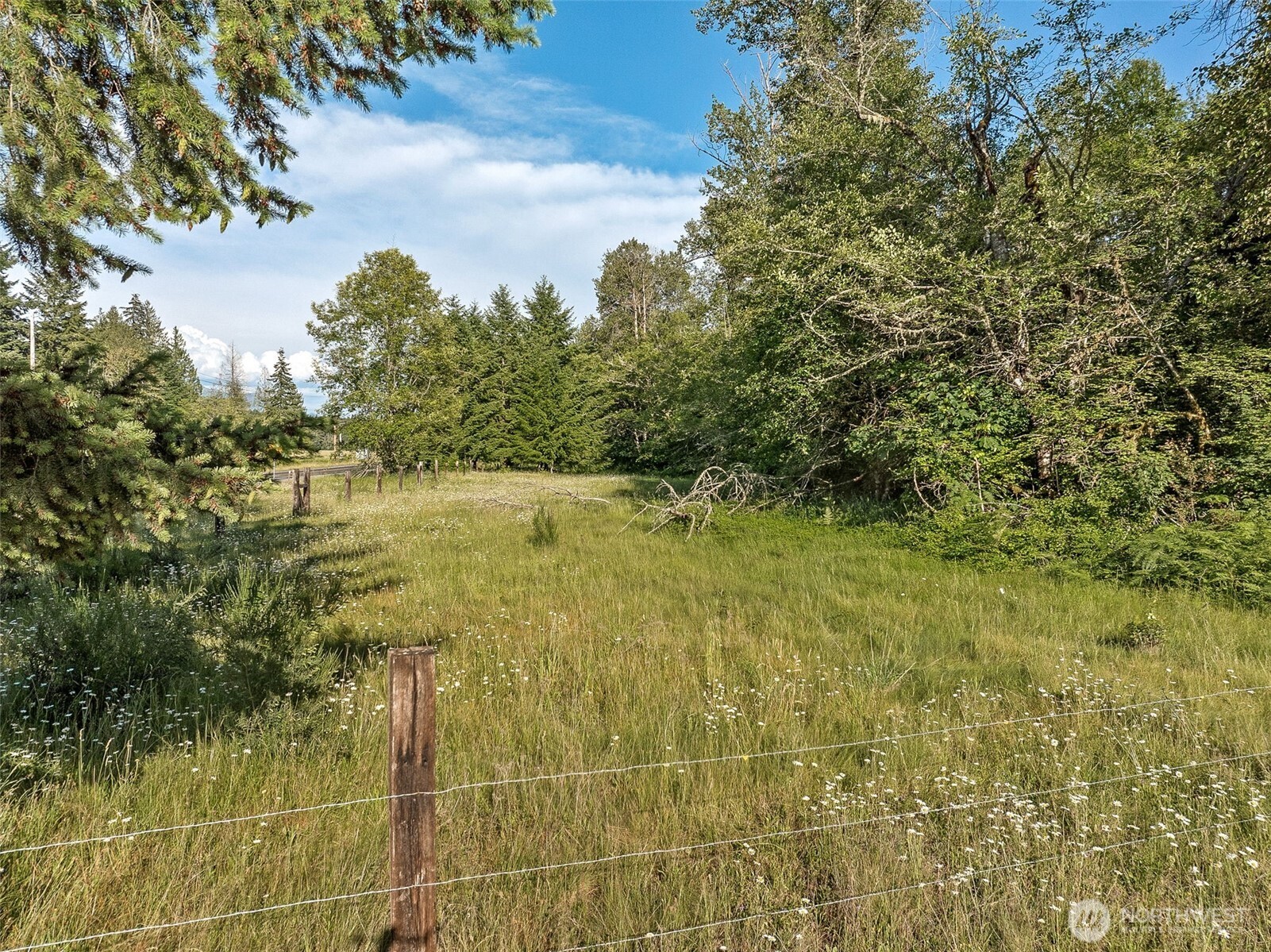 0 Park Junction Road East Elbe, WA 98330 - Photo 13 of 15