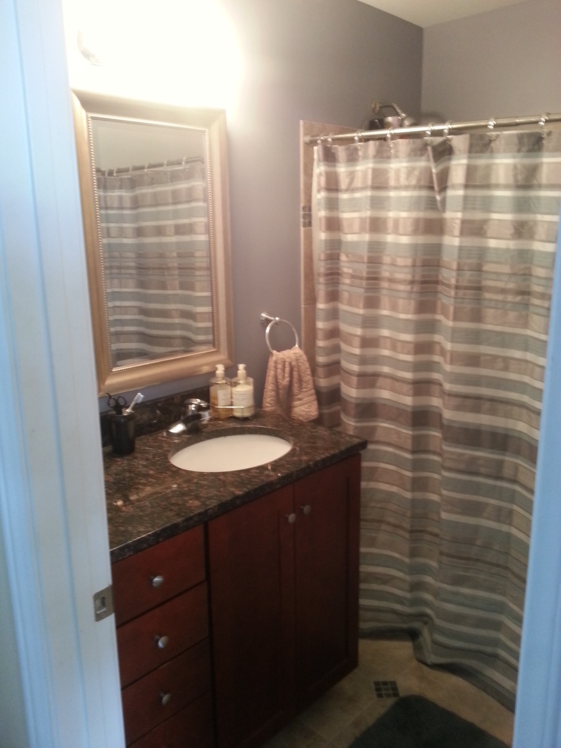 1612 West 17th Street, Unit 1 Chicago, IL 60608 - Photo 7 of 10