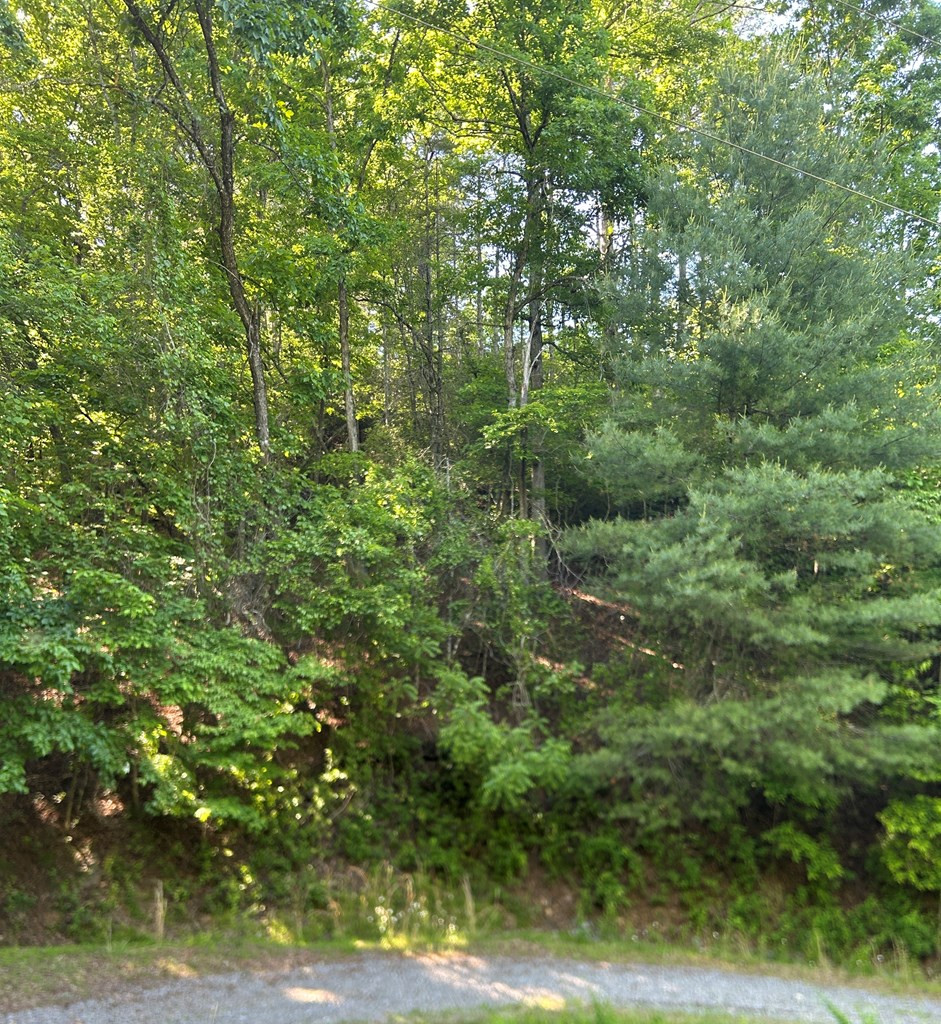 Lot 38 River Ridge Murphy, NC 28906 - Photo 13 of 16